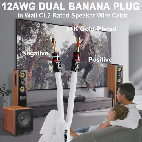 12AWG Speaker Cable (3 Feet), 1 Pack Premium Heavy Duty Braided Speaker Wire with Dual Gold Plated Banana Plug, In-Wall