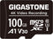 Gigastone 100GB Micro SD Card, A1 V30 4K Video Recording, Compatible with Security