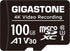 Gigastone 100GB Micro SD Card, A1 V30 4K Video Recording, Compatible with Security