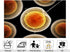 KeyWork 8x5ft Egg Cell Fertilization Backdrop Reproductive Medical Photography Background for Science Fair Health Event