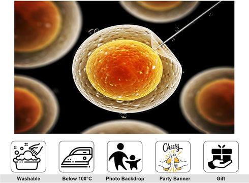 KeyWork 8x6ft Egg Cell Fertilization Backdrop Reproductive Medical Photography Background for Science Fair Health Event