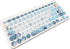 Silicone Keyboard Cover Skin for Logitech K380/Pebble Keys 2, Gray Blue Flowers