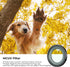 K&F Concept GO 3S UV CPL ND Filters Kit, 3 Pack Compatible with Insta360 GO 3S, Multi-Layer Coated