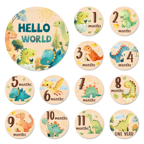 Baby Monthly Milestone Cards Sign - 13Pcs Double Sided Dinosaur Milestone Cards,
