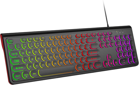 Dilter USB Wired Computer Keyboard with Backlit - Full Size Office Keyboard with