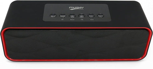 Portable Bluetooth Stereo Speaker with Dual Subwoofer, FM Radio, Handsfree Speakerphone for Smart Phone & Tablet