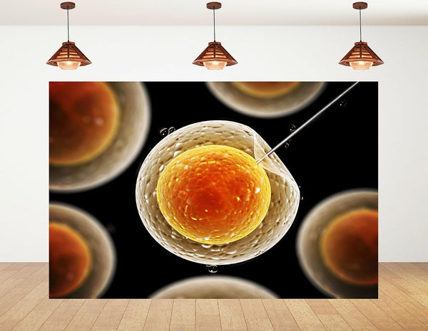 KeyWork 8x6ft Egg Cell Fertilization Backdrop Reproductive Medical Photography Background for Science Fair