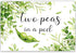 Diartpaint 3x5ft Two Peas in a Pod Twins Baby Shower Backdrop, Greenery Oh Babies Photography Background, Sweet Peas