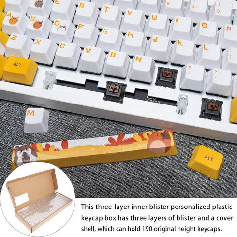 SOLUSTRE Keycap Storage Box, Transparent Mechanical Keyboard Divided Holder for Keycaps, Gaming Keyboard Box