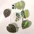 COMMONKUNST Tropical Rare Leaf Plant Multi-Functional Collapsible Expandable Mobile Phone Grip & Kickstand (Anthurium