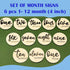 (S001) Baby Monthly Milestone, Wooden Baby Milestone Signs, Monthly Milestone Wood Discs, Baby Milestone Discs