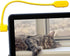 Kano Webcam - Flexible, Macro, Video and Pictures
