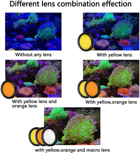 Reef Coral Lens Phone Kits for Phone 7 - 1 Dust Shield Case, 2 Lens Clips