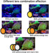Reef Coral Lens Phone Kits for Phone 7 - 1 Dust Shield Case, 2 Lens Clips