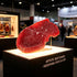 VOSCHOIX Fake Steak Prop : Realistic Food Steak Ornament Simulation Play Food Meat Model for Home Restaurant