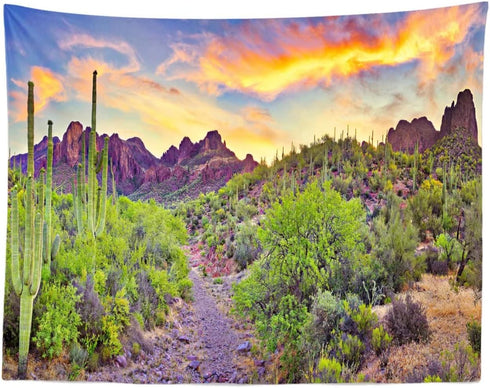 BELECO 7x5ft Arizona Desert Backdrop - Fire-Like Sky Mountain Landscape with Saguaro Cactus for Photography