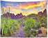 BELECO 7x5ft Arizona Desert Backdrop - Fire-Like Sky Mountain Landscape with Saguaro Cactus for Photography