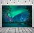 BELECO 10x6.5ft Fabric Aurora Borealis Backdrop Winter Forest Snowfield Northern Lights Night Sky Background Polar