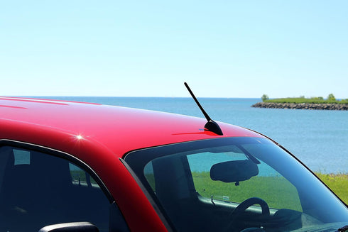 AntennaMastsRus 8 Inch (1998-2010) - Screw-On Antenna is Compatible with Volkswagen Beetle