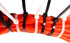 12 Inch Cable Ties, 75 lbs Tensile Strength Nylon Zip Ties - Heavy Duty UV Weather Resistant (100)