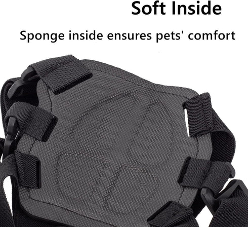Dog Harness for GoPro, Soft Adjustable Pet Mount Vest with 2 Mounting Bases for Chest and Back Fixation, Medium Large