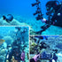 2 PCS x 1" Inch Aluminum Standard Long Ball Clamp Mount for Underwater Diving Light Arm System, Works with Ram Mounts