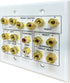 Speaker Wall Plate, 7.2 Home Theater, 2 RCA Wall Plate, Gold Plated Binding Posts for Speaker Setup