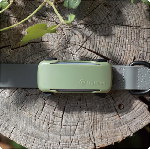 6 Tractive GPS Dog Tracker Cover - Olive