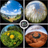 Phone Camera Lens, 198 Fisheye Lens + 120 Super Wide-Angle Lens + 20x Macro Lenses Camera Photography Accessories Kit
