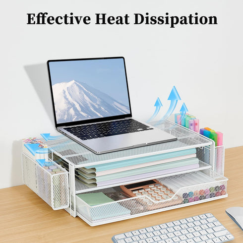 Riser2-Tier 2 AUPSEN Computer Monitor Stands Desk Organizers and Accessories, Office Desk Accessories Organizer
