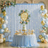 Suppromo 10ft 10ft x Baby Blue Tulle Photo Backdrop Curtain with Lights String for Parties Wedding Sheer Blue Curtain