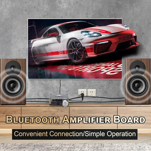 C50HS Bluetooth Amplifier Board TPA3116D2 HiFi Chip 12-24V DC Input, Multiple Input Modes (C50HS ONLY)