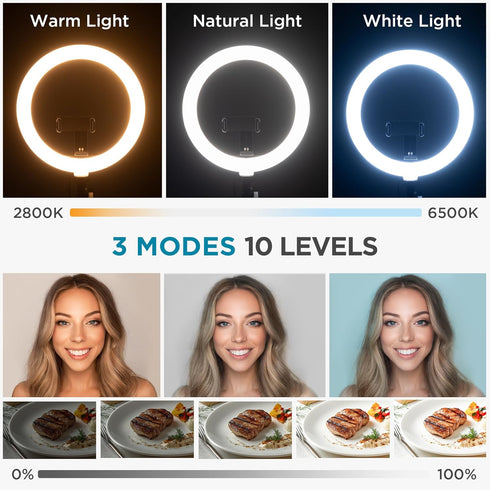 InnoGear 10" Overhead Phone Mount with Ring Light, LED Selfie Ring Light for Desk with Phone Holder and Remote Canvas