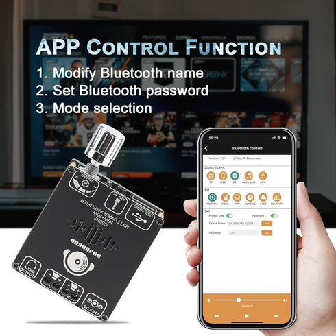C50HS Bluetooth Amplifier Board TPA3116D2 HiFi Chip 12-24V DC Input, Multiple Input Modes (C50HS ONLY)