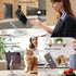 Msounehna 360 Magnetic iPad Stand for Desk, Foldable Aluminum Alloy Tablet Holder with Adjustable Base | Ergonomic