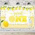 HAMIGAR 6x4ft Sweet One Banner Backdrop - Lemon 1st First Birthday Decorations Party