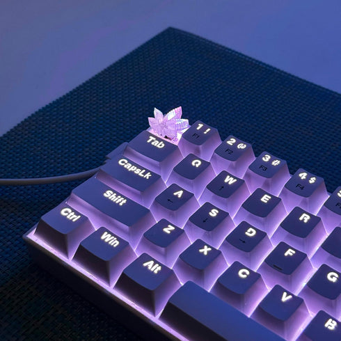 TRENDY WHIMSY Custom Mechanical Keyboard Keycaps Green Leaf Design , PBT Dye-Sub, Cherry MX Compatible, Unique Limited