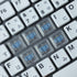 Chocfox Keycaps Low Profile PBT Keycaps for Kailh Chocolate Switch Mechanical Keyboard (Frosted Transparent White,