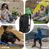 Backpack, Backpack 15.6 Inches Backpack RUCYEN Lunch Insulated Cooler Removable Lunch Box for Men Women, RFID Blocking