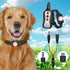SMLBJUTE 2-in-1 (1 Pack) Dog Training Collar Charging Cord, Magnetic and USB-C Dog Shock Collars Charger Cable for Dogs