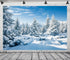 BELECO 5x3ft Fabric Winter Snow Forest Backdrop, Majestic White Xmas Tree Scene for Christmas New Year Event