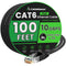 Cat 6 Ethernet Cable 100 ft, Indoor&Outdoor, High Speed 10Gbps Internet Network,