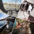 Neck Phone Holder POV/Vlog Mount, Hands-Free Phone Neck Holder with Clip and Chest Strap for Video Recording