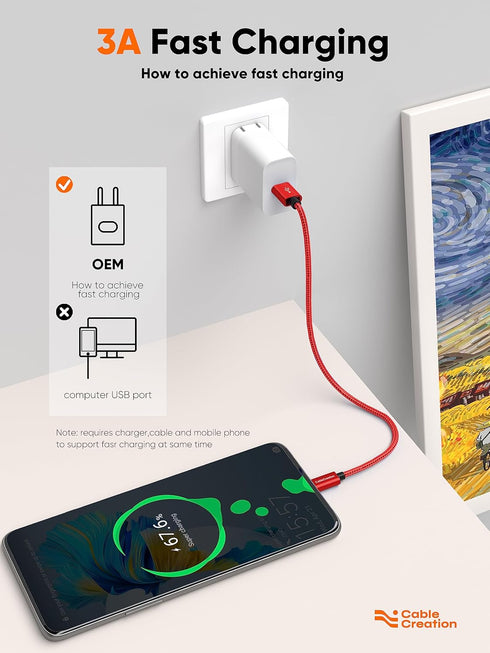 CableCreation USB C Cable 1FT, Red USB A to USB C 3A Fast Charging Braided Cable for Galaxy S23, iPad Pro, Power Bank
