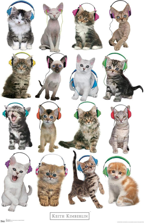 Trends International Keith Kimberlin-Kittens-Headphones Wall Poster - 14.725" x 22.375", Premium Unframed Version