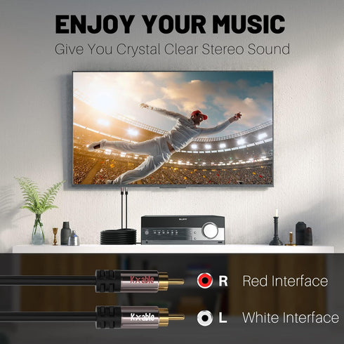 RCA Cable 100FT, 2RCA Male to 2RCA Male Stereo Audio Cable, Oxygen-Free Copper, Hi-Fi Sound