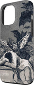 Twisted City Art 13 Francisco Goya - The Sleep of Reason Produces Monsters Case for iPhone Pro Max