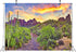 BELECO 7x5ft Arizona Desert Backdrop - Fire-Like Sky Mountain Landscape with Saguaro Cactus for Photography