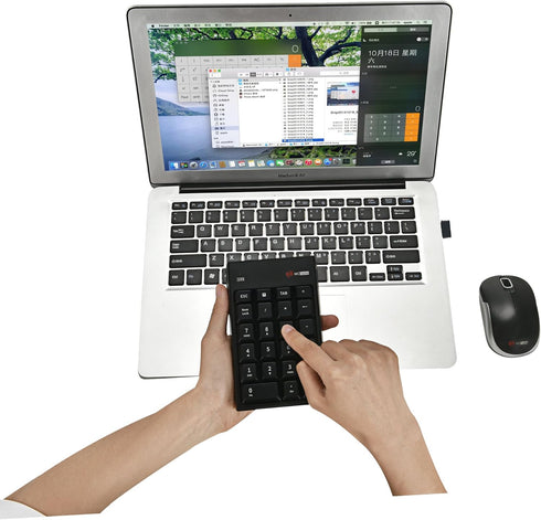 MCSaite Wireless Numeric Keypad & Mouse Combo - Wireless Number Pad Keyboard and Mouse for Laptop Desktop