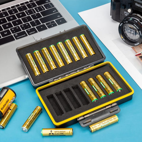 Compact AAA Triple A Battery Storage Case Holder, Hard Plastic Box for 16pcs AAA Batteries, Water-resistant